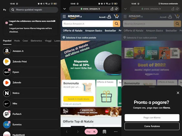 pagare su Amazon con Klarna